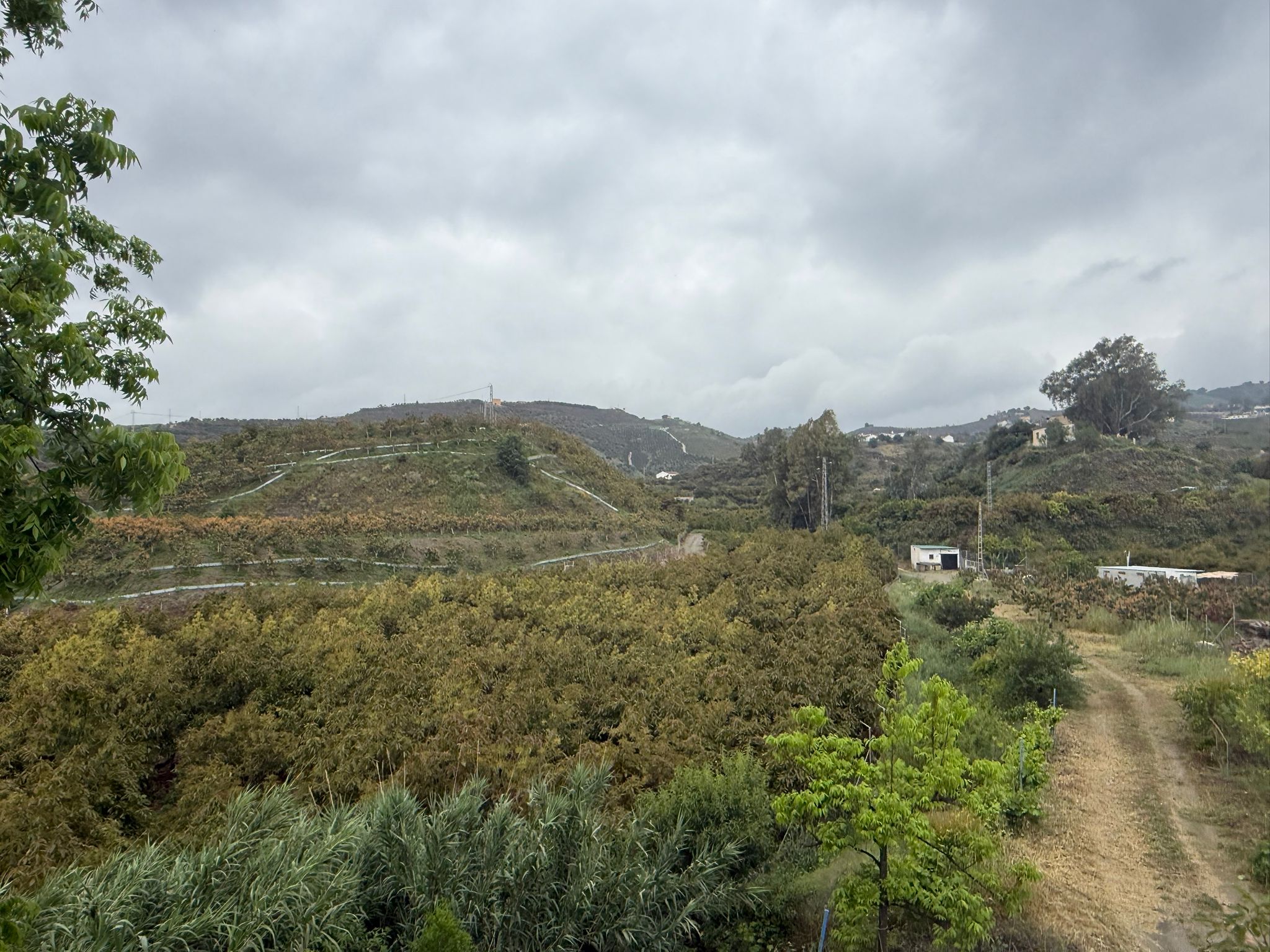 2 Casas Rústicas Juntas (28)