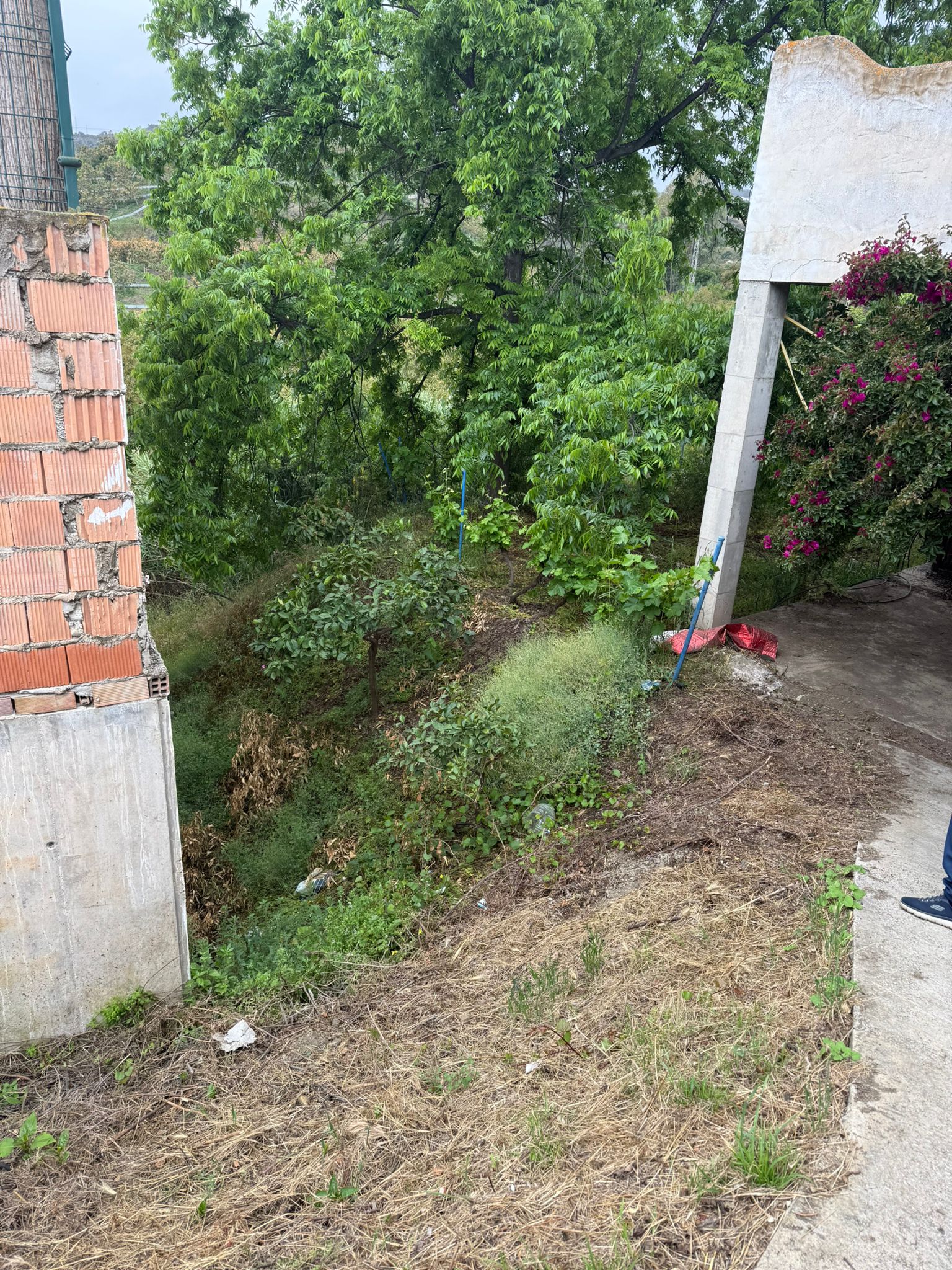 2 Casas Rústicas Juntas (40)